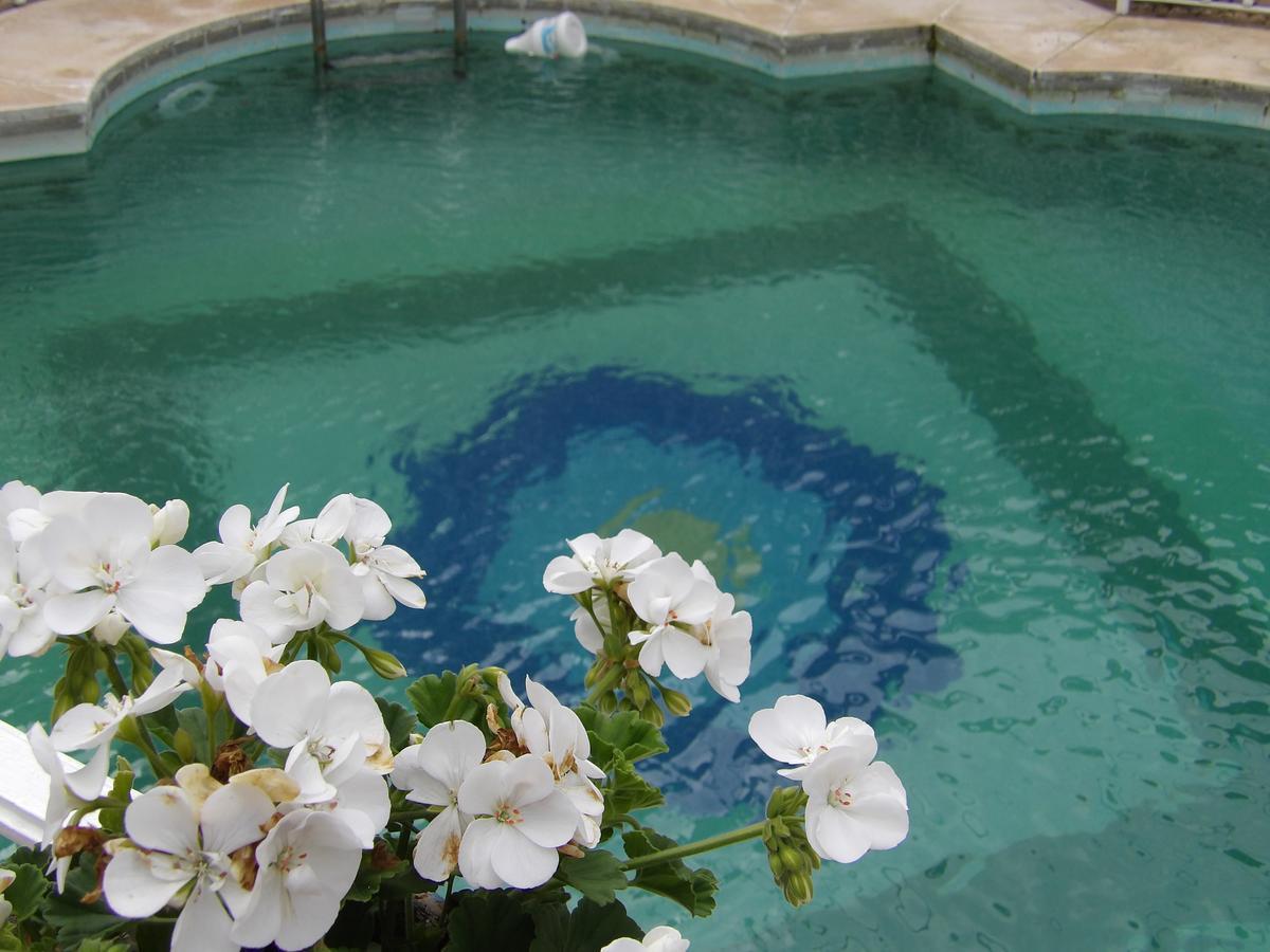 El Rocío Palacio Donana , Rural & Luxury מראה חיצוני תמונה